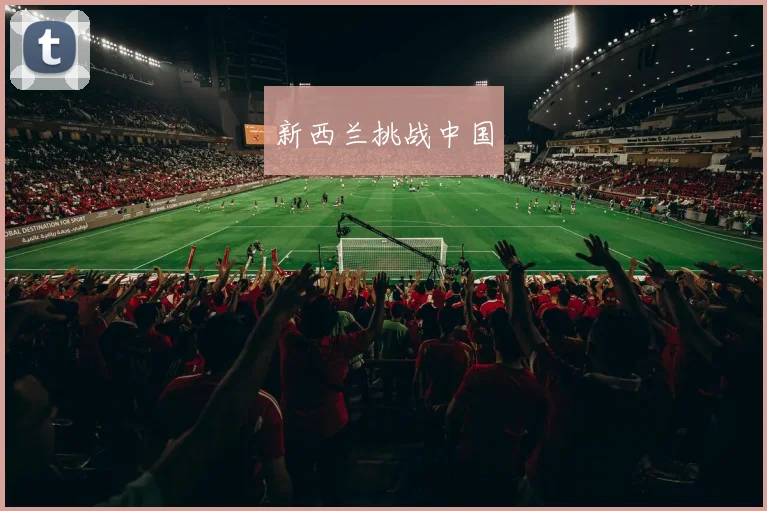 新西兰挑战中国 - 安博体育登录