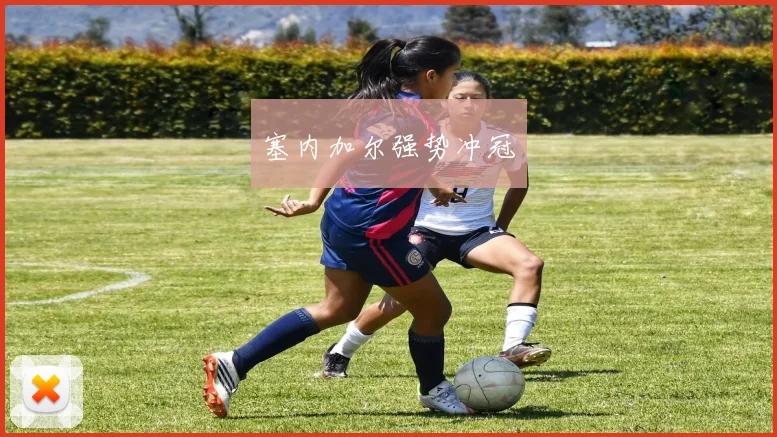 塞内加尔强势冲冠 - 安博体育登录