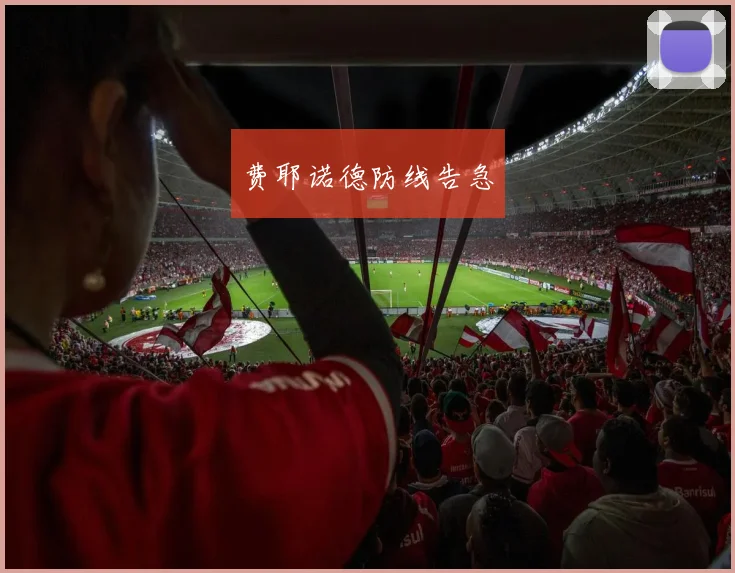 费耶诺德防线告急 - 安博体育登录