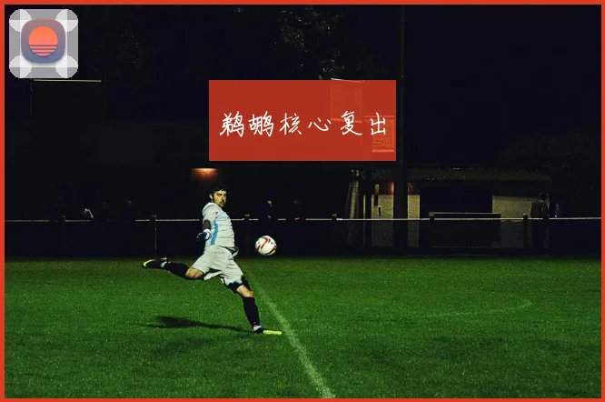 鹈鹕核心复出 - 安博体育登录