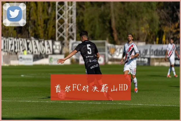 首尔FC对决蔚山HD - 安博体育登录