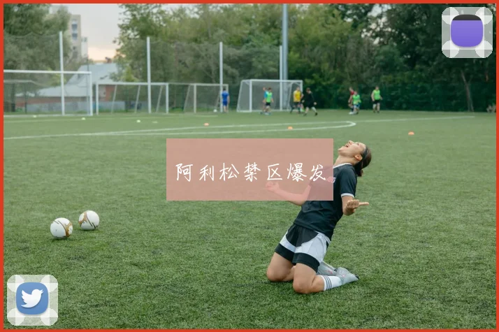阿利松禁区爆发 - 安博体育登录