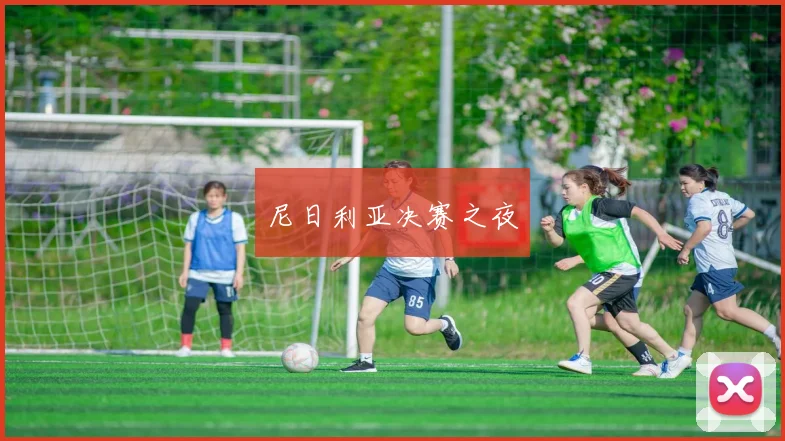 尼日利亚决赛之夜 - 安博体育登录