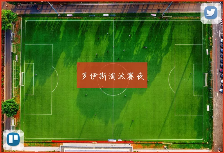 罗伊斯淘汰赛夜 - 安博体育登录