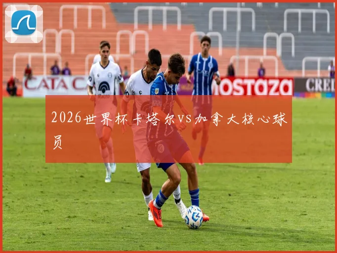 2026世界杯卡塔尔vs加拿大核心球员
