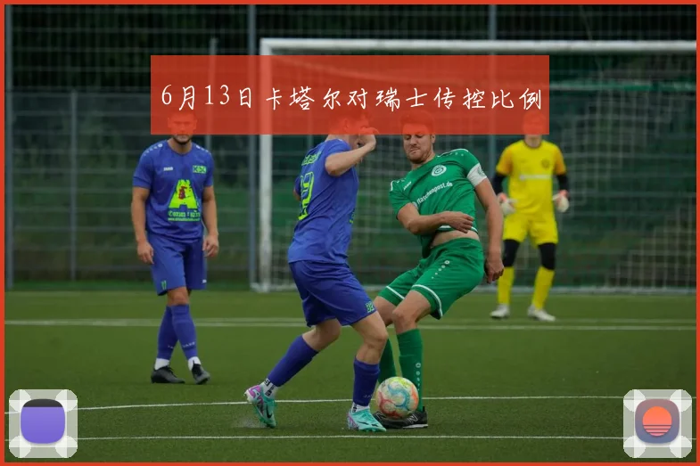 6月13日卡塔尔对瑞士传控比例