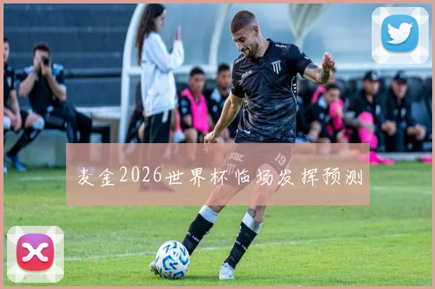 麦金2026世界杯临场发挥预测