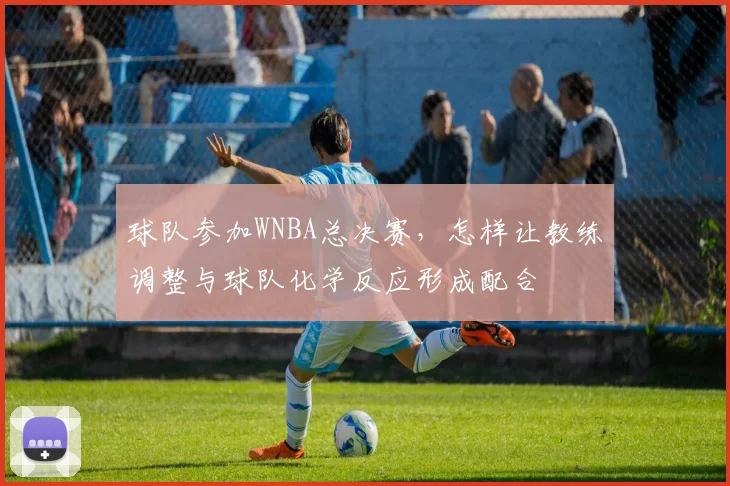 球队参加WNBA总决赛,怎样让教练调整与球队化学反应形成配合