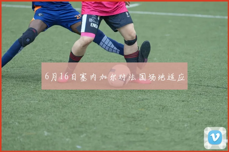 6月16日塞内加尔对法国场地适应